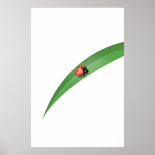 Ladybug Leaf Poster (Voorkant)