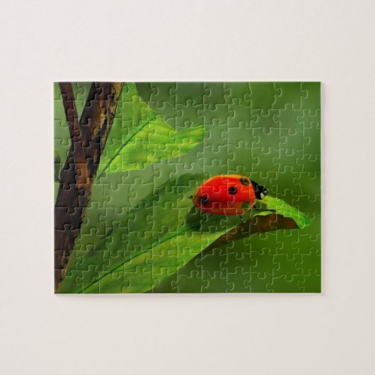 Ladybug Legpuzzel (Horizontaal)