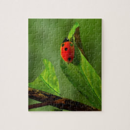 Ladybug Legpuzzel