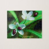 Ladybug Legpuzzel (Horizontaal)