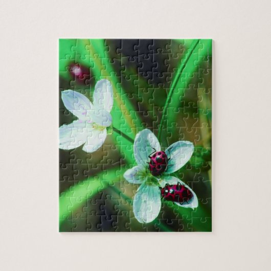 Ladybug Legpuzzel (Verticaal)