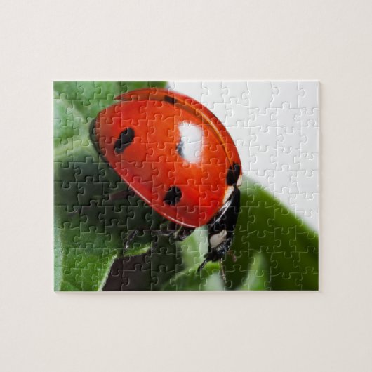 Ladybug Legpuzzel (Horizontaal)