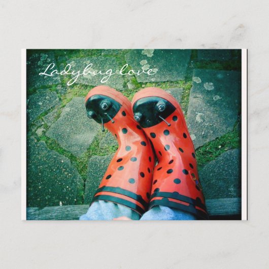 Ladybug-liefde Briefkaart (Voorkant)