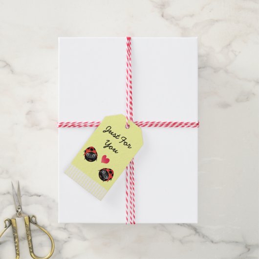 Ladybug Love Cadeaulabel (Met Touw)