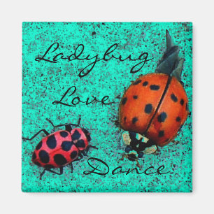 LADYBUG LOVE DANCE MAGNET