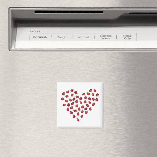 Ladybug Love Heart Magneet (Insitu (Vaatwasser))
