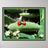 Ladybug Love Poster (Voorkant)