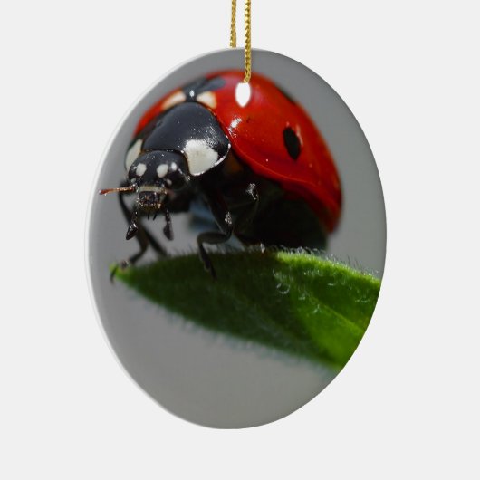 Ladybug Lovers Art Keramisch Ornament (Rechts)