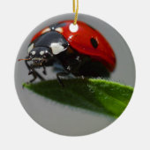Ladybug Lovers Art Keramisch Ornament (Voorkant)