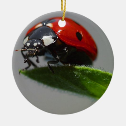 Ladybug Lovers Art Keramisch Ornament (Voorkant)