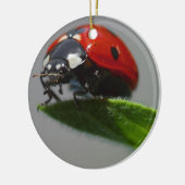 Ladybug Lovers Art Keramisch Ornament (Links)