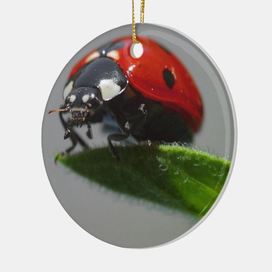 Ladybug Lovers Art Keramisch Ornament (Links)