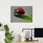 Ladybug Lovers Gifts Poster (Thuiskantoor)