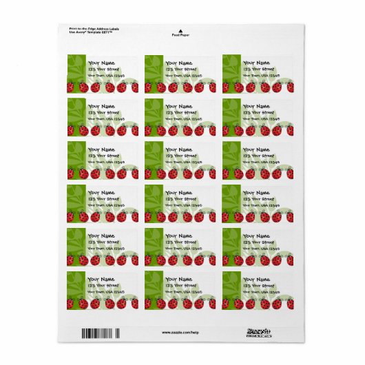 Ladybug Luck Etiket (Full Sheet)