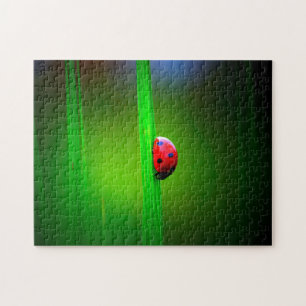 Ladybug Macro Colorful, Jigzaag Puzzle Legpuzzel
