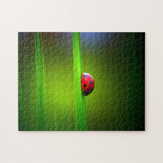 Ladybug Macro Colorful, Jigzaag Puzzle Legpuzzel (Horizontaal)