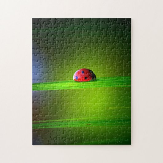 Ladybug Macro Colorful, Jigzaag Puzzle Legpuzzel (Verticaal)