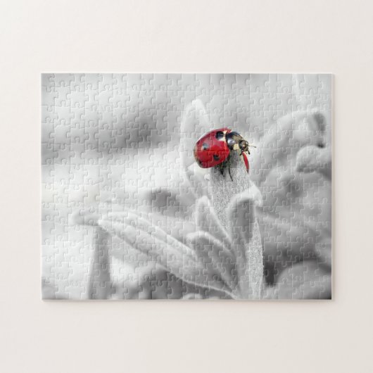 Ladybug Macro Monochrome, Jigzaag Puzzle Legpuzzel (Horizontaal)