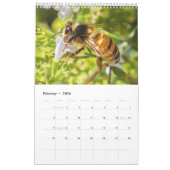 Ladybug Macro Photo Nature Wall Art Calendar 2026  Kalender (Feb 2026)