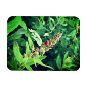Ladybug Magneet (Horizontaal)