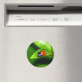 Ladybug Magneet (Insitu (Vaatwasser))