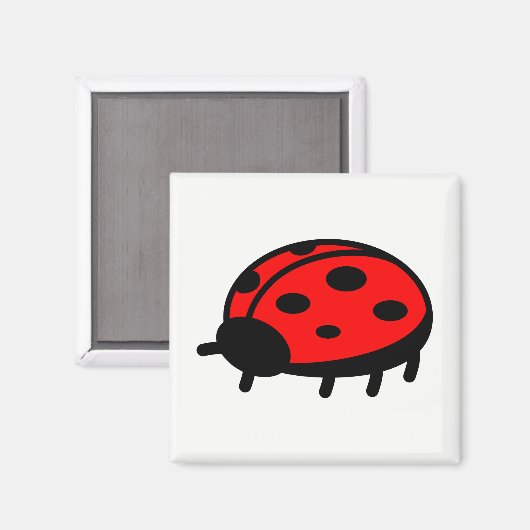 Ladybug Magneet (Voorkant / Achterkant)
