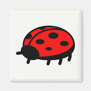 Ladybug Magneet