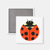 ladybug magneet (Voorkant / Achterkant)