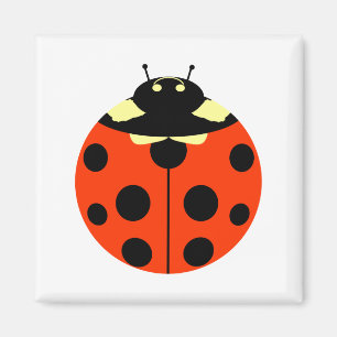 ladybug magneet