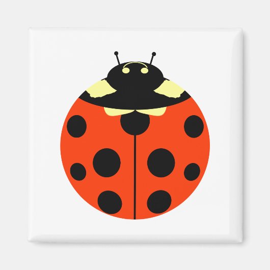 ladybug magneet (Voorkant)