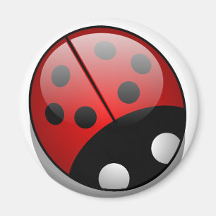 Ladybug Magneet