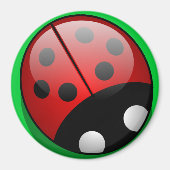 Ladybug Magnet (Voorkant)