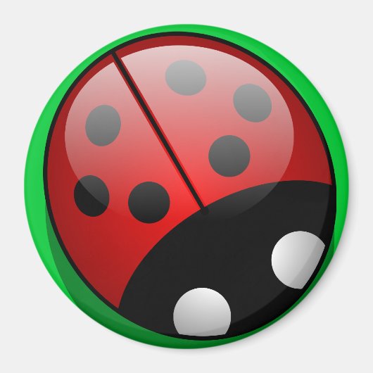 Ladybug Magnet (Voorkant)
