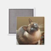 Ladybug Magnet (Voorkant / Achterkant)