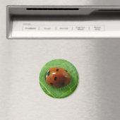 Ladybug Magnet (Insitu (Vaatwasser))