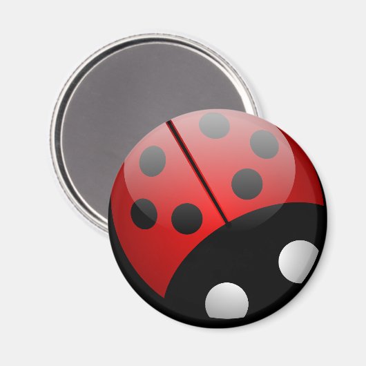 Ladybug Magnet (Voorkant / Achterkant)
