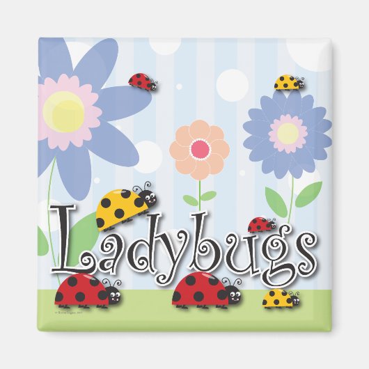 Ladybug Magnet (Voorkant)
