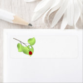 Ladybug met drie bladeren en een druppel etiket (Insitu)