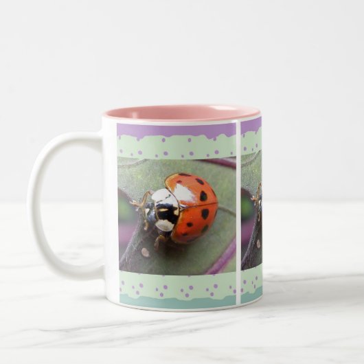 Ladybug-Mok Tweekleurige Koffiemok (Links)