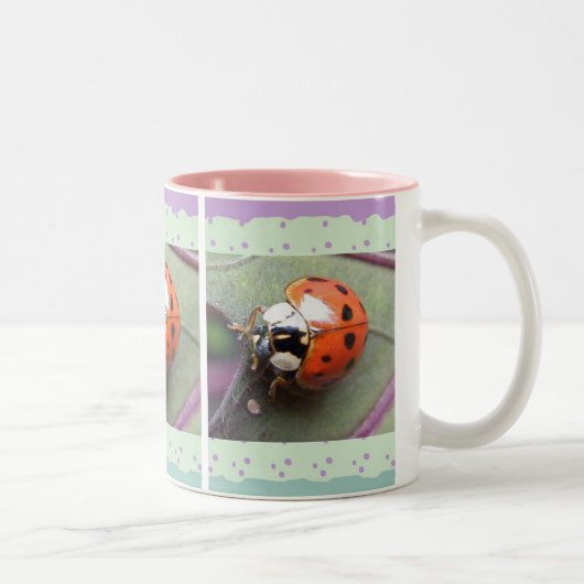 Ladybug-Mok Tweekleurige Koffiemok (Rechts)