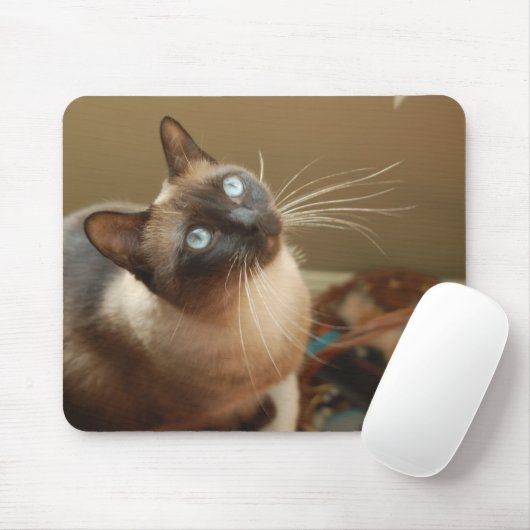 Ladybug Mousepad Muismat (Met muis)
