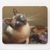 Ladybug Mousepad Muismat (Voorkant)