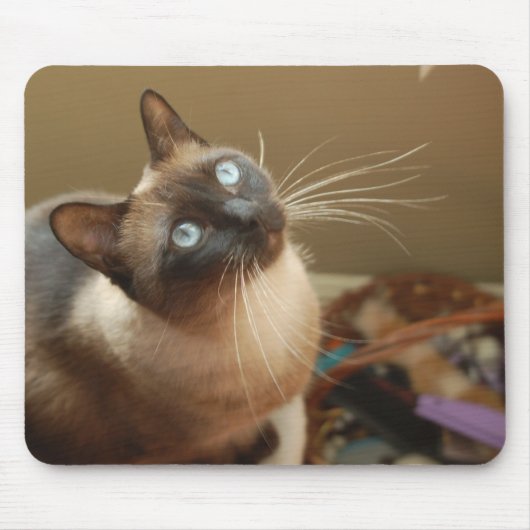 Ladybug Mousepad Muismat (Voorkant)