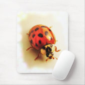Ladybug Mousepad Muismat (Met muis)