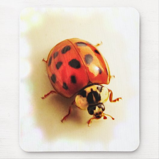 Ladybug Mousepad Muismat (Voorkant)