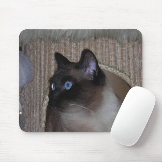 Ladybug Mousepad Muismat (Met muis)