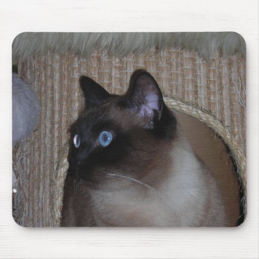 Ladybug Mousepad Muismat (Voorkant)