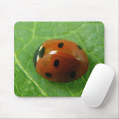 Ladybug Mousepad Muismat (Met muis)