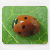 Ladybug Mousepad Muismat (Voorkant)