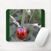 Ladybug Mousepad Muismat (Met muis)